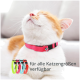 Nahaufnahme einer entspannten orange-weißen Katze mit einem rosa Halsband, mit bunten Halsbändern und dem Text darunter: "für alle Katzengrößen verfügbar."