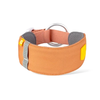 Oranges Haustierhalsband mit grauen Akzenten und einem metallischen D-Ring zur Leinenbefestigung, mit einem kleinen gelben Logo-Anhänger.