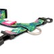 Buntes Hundehalsband mit tropischem Blattmuster, schwarzer Kunststoffschnalle und Metall-D-Ring, rosa Anhänger mit weißem Text.