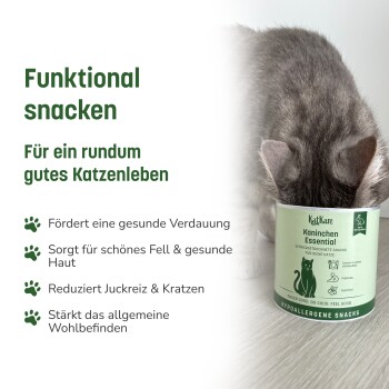 Graue Katze mit Kopf in Snackdose „Kaninchen Essential“; linkes Panel zeigt Überschrift „Funktional snacken“ und aufgelistete Vorteils-Punkte