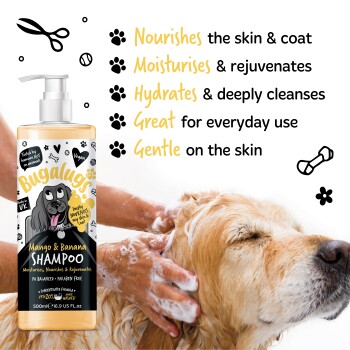 Eine Person wäscht einen Golden Retriever mit Bugalugs Mango & Banana Shampoo, das nährt, befeuchtet und hydratisiert.