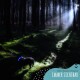 Ein Hund mit einem leuchtend blauen Halsband steht in einem dunklen Wald, durch den Sonnenlicht strömt. Text: "Dein Bester Freund IMMER SICHTBAR."