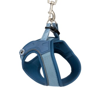 Blaues Netz-Hundegeschirr mit Metallclip, gepolsterten Riemen und "WALK & MOVE"-Text auf der Vorderseite.