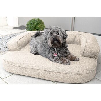 Ein flauschiger grauer Hund, der auf einem stilvollen beigen Haustierbett entspannt, mit einem kleinen Busch im Hintergrund und einem modernen Gebäudeingang.