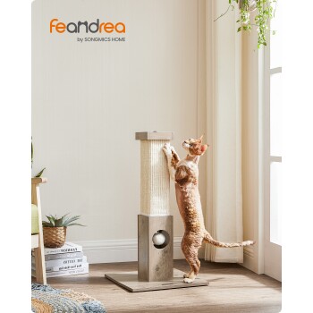 Eine verspielte orange Katze streckt sich zu einem hohen Kratzbaum mit einem Ball darin, in einem gemütlichen Raum mit Pflanzen und natürlichem Licht. Feandrea-Logo sichtbar.