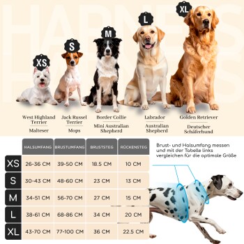 Bild von Hunderassen: West Highland White Terrier, Beagle, Border Collie, Labrador Retriever und Dobermann, mit Größentabelle für Halsbänder in cm.