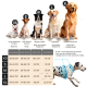 Bild von Hunderassen: West Highland White Terrier, Beagle, Border Collie, Labrador Retriever und Dobermann, mit Größentabelle für Halsbänder in cm.