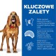 Szczęśliwy brązowy pies z czerwoną obrożą stoi obok niebieskiego tekstu o niskokalorycznej zawartości, kontroli apetytu i korzyściach dla zdrowia skóry.