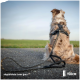 Ein Hund mit einem flauschigen Fell sitzt auf einem Kiesweg, trägt ein schwarzes Geschirr und eine Leine und blickt auf ein grünes Feld unter einem bewölkten Himmel.