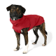 Ein Hund in einem leuchtend roten Regenmantel mit orangefarbenen Akzenten, stehend auf einem weißen Hintergrund.