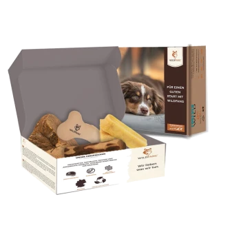 Eine Box mit Hundeleckerlis von Wildfang, die einen knochenförmigen Snack und zwei weitere Snacks enthält, mit einem Hundebild und Text auf Deutsch.