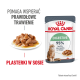 Torebka karmy dla kotów Royal Canin Digestive z talerzem wilgotnych kawałków mięsa, zawierająca tekst o wspieraniu trawienia i zdrowej jakości stolca.