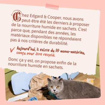 Chat gris parmi des emballages ; texte superposé en français d'Edgard & Cooper au sujet de sachets de pâtée recyclables « PP mono‑matériau ».