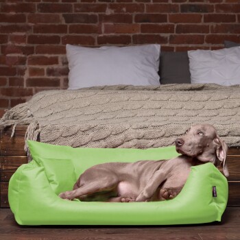 Ein entspannter grauer Hund liegt in einem hellgrünen Haustierbett, mit einer gemütlichen gestrickten Decke und Kissen im Hintergrund.
