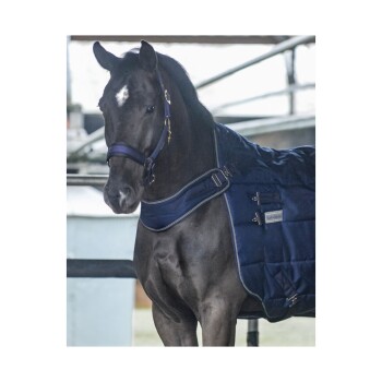 Eine Nahaufnahme eines schwarzen Pferdes mit einer marineblauen Decke, das in einem Stall mit Halfter und glänzendem Fell steht.