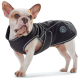 Ein Französischer Bulldogge trägt einen schwarzen Hundemantel mit reflektierenden Akzenten, mit einem Logo, das "OUTDOOR HUNTER 1980" liest.