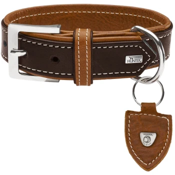 Braunes Lederhalsband für Hunde mit weißen Nähten, silberner Schnalle und einem Anhänger mit dem 'HUNTER'-Logo.