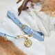Nahaufnahme des Halses eines Hundes mit einem hellblauen Lederhalsband mit goldener Schnalle und einem runden goldenen Anhänger, der mit einem "W" graviert ist.