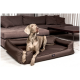Ein grauer Weimaraner-Hund liegt auf einem braunen Haustierbett in einem modernen Wohnzimmer mit einem dunkelbraunen Sofa und einem Couchtisch.