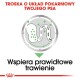Ilustracja układu pokarmowego psa z strzałkami, z polskim tekstem o pielęgnacji i wsparciu trawienia.