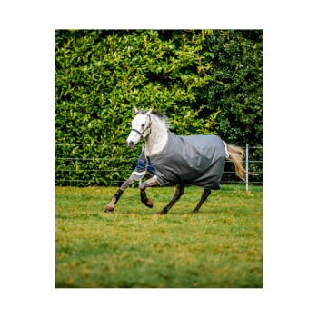 Ein graues Pferd, das eine Schutzdecke trägt, galoppiert über ein grünes Feld, umgeben von üppigem Laub und einem Zaun.