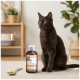 Schwarze Katze sitzt neben einer Flasche mit der Aufschrift 'Support Lachsöl' (Lachsöl) und einem Löffel mit Öl auf einem Teppich.