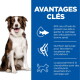Chien brun et blanc assis à côté d'un panneau bleu indiquant « AVANTAGES CLÉS » avec des icônes et du texte en français sur la santé des articulations.