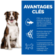 Chien brun et blanc assis à côté d'un panneau bleu indiquant « AVANTAGES CLÉS » avec des icônes et du texte en français sur la santé des articulations.