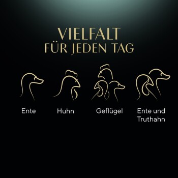 Stilisierte Linzeichnungen von einer Ente, einem Huhn, Geflügel und einer Kombination aus Ente und Truthahn, mit dem Text 'Vielfalt für jeden Tag' darüber.