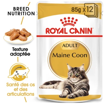 Maine Coon Adult en sauce 12x85 g Emballage de nourriture pour chats Royal Canin Adult Maine Coon, avec un chat Maine Coon, mettant en avant la nutrition de la race et la santé des articulations.