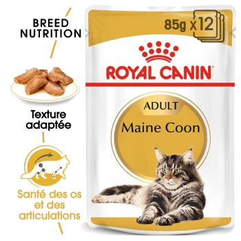 Emballage de nourriture pour chats Royal Canin Adult Maine Coon, avec un chat Maine Coon, mettant en avant la nutrition de la race et la santé des articulations.