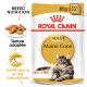 Emballage de nourriture pour chats Royal Canin Adult Maine Coon, avec un chat Maine Coon, mettant en avant la nutrition de la race et la santé des articulations.