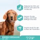 Hundefutter-Anzeige mit einem Golden Retriever, die Präbiotika, Calcium und frisches Hähnchen hervorhebt. Text: "Sensible Verdauung ab 1 Jahr" und "Alle Rassen."