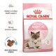 Mother & Babycat 2 kg