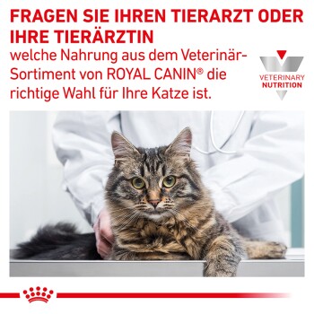 Eine getigerte Katze auf einem Tierarzt-Tisch, mit einem Tierarzt im weißen Kittel. Text: "Fragen Sie Ihren Tierarzt, welches ROYAL CANIN® Futter für Ihre Katze geeignet ist."