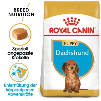 Royal Canin Dachshund Welpenfutterbeutel mit rassespezifischer Ernährung, mit hervorgehobenem Kibble-Form und Text auf Deutsch über Immunsupport.