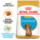 Royal Canin Dachshund Welpenfutterbeutel mit rassespezifischer Ernährung, mit hervorgehobenem Kibble-Form und Text auf Deutsch über Immunsupport.