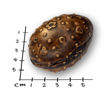Braunes strukturiertes Haustier-Kauspielzeug in Form einer Walnuss, platziert auf einem Raster mit 5 cm Skala.
