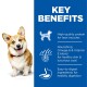 A corgi beside a blue panel highlights benefits: high-quality protein, Omega-6 & Vitamin E for skin, and easy-to-digest ingredients.