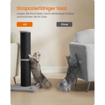 Katzen: eine auf einem Sisal-Kratzpfosten, eine kratzt ein Sofa; sichtbarer Text 'Strapazierfähiger Sisal' und Buttons 'Mit' 'Ohne'.