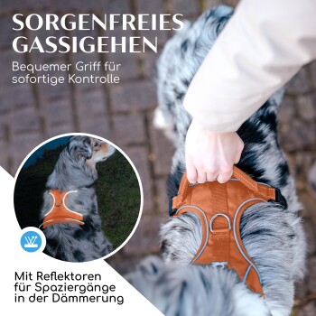 Eine Person hält ein braunes und graues Hundegeschirr mit reflektierenden Elementen. Text: "Sorgenfreies Gassigehen" und "Bequemer Griff für Kontrolle."