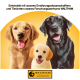 Zwei glückliche Hunde, ein Golden Retriever und ein schwarzer Labrador, vor einem hellgelben Hintergrund mit WALTHAM-Logo und Text über Ernährungsforschung.