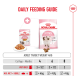 Royal Canin kitten kibble bag and wet pouch with kitten; "DAILY FEEDING GUIDE" chart showing adult target weight 4kg and ages 4/6/8 months