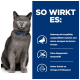 Eine graue Katze mit grünen Augen in einem blauen Halsband sitzt neben einem Text über die Vorteile von Haustierfutter: "SO WIRKT ES," der wichtige Zutaten hervorhebt.