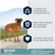Ein Boxer auf einem malerischen Weg hebt L-Carnitin, Beta-Carotin und Taurin für Fettverbrennung, Immunität und Herzgesundheit bei Hunden über 1 Jahr hervor.
