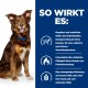 Ein braun-weißer Hund sitzt mit einem blauen Halsband, neben Text, der die Vorteile eines Gewichtsmanagementprodukts für Hunde hervorhebt.