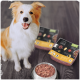 Ein glücklicher, flauschiger Hund sitzt neben einer Metallschüssel, die mit Haustierfutter gefüllt ist, mit zwei Paketen ProCani Hundefutter im Hintergrund.