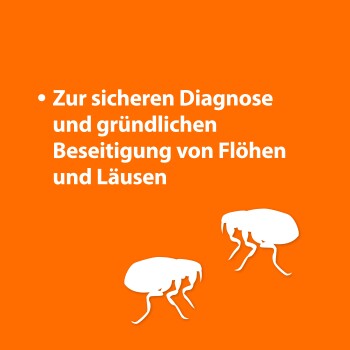 Oranger Hintergrund mit weißen Silhouetten von Flöhen, mit dem Text: "Zur sicheren Diagnose und gründlichen Beseitigung von Flöhen und Läusen."