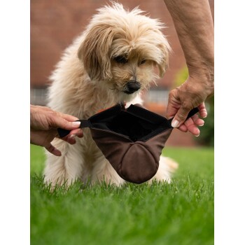 Ein kleiner, flauschiger Hund schaut neugierig auf einen braunen Haustierbeutel, der von einer Person gehalten wird, auf grünem Gras mit verschwommenem Hintergrund.
