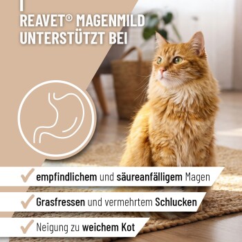 Eine Glasschüssel gefüllt mit hellbeigem Pulver, mit einem kleinen transparenten Löffel daneben.